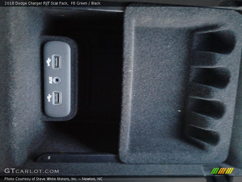 F8 Green / Black 2018 Dodge Charger R/T Scat Pack