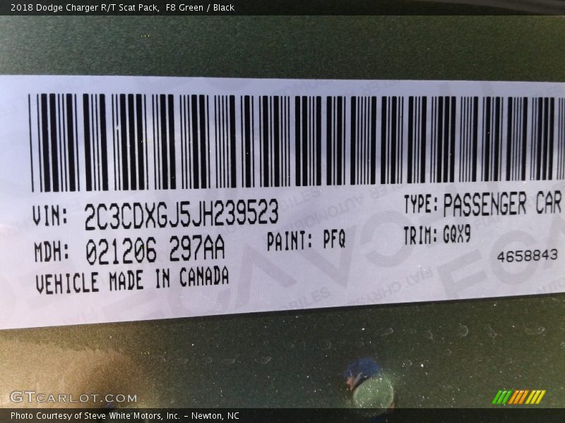 F8 Green / Black 2018 Dodge Charger R/T Scat Pack