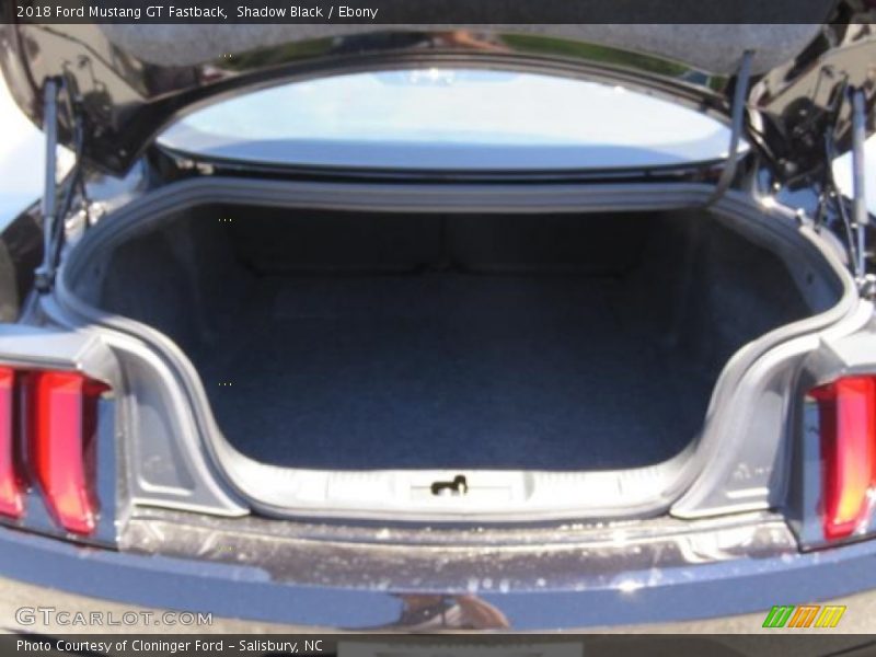 Shadow Black / Ebony 2018 Ford Mustang GT Fastback