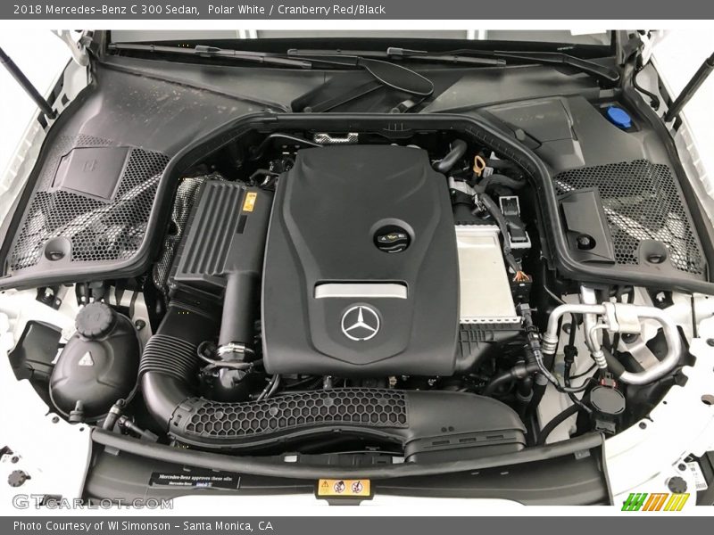 Polar White / Cranberry Red/Black 2018 Mercedes-Benz C 300 Sedan