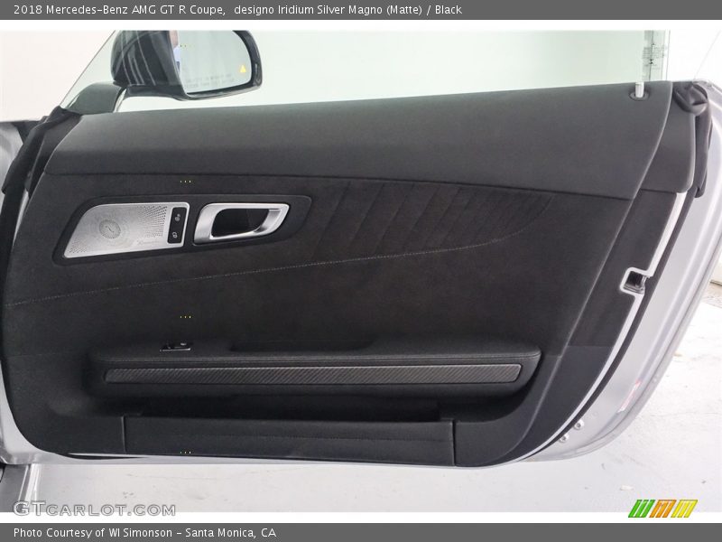 Door Panel of 2018 AMG GT R Coupe