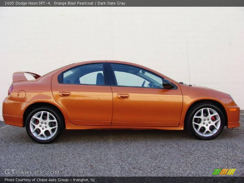 Orange Blast Pearlcoat / Dark Slate Gray 2005 Dodge Neon SRT-4