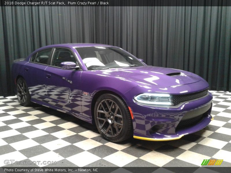 Plum Crazy Pearl / Black 2018 Dodge Charger R/T Scat Pack