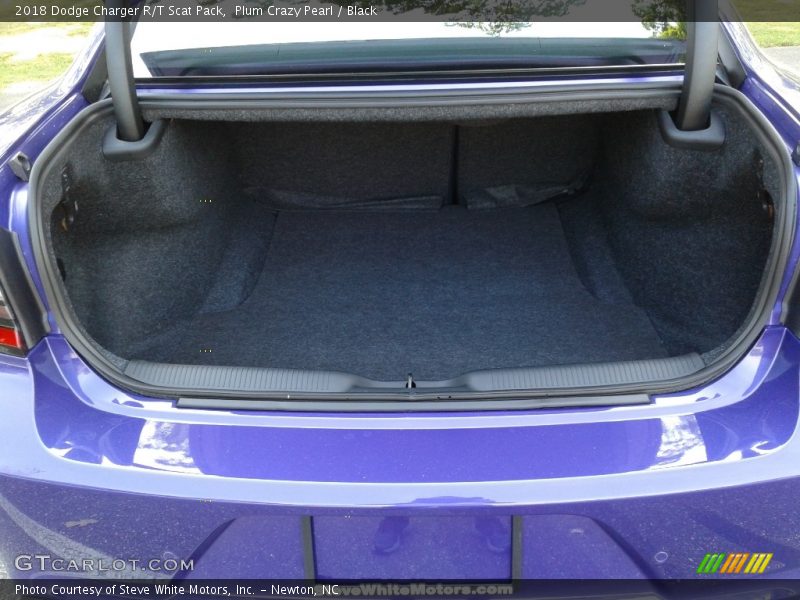 Plum Crazy Pearl / Black 2018 Dodge Charger R/T Scat Pack