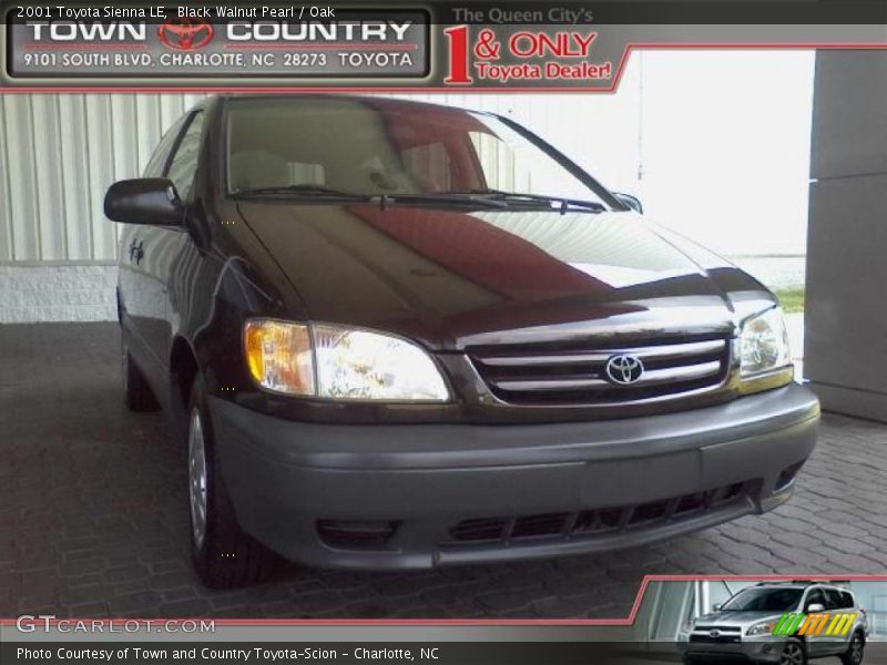 Black Walnut Pearl / Oak 2001 Toyota Sienna LE
