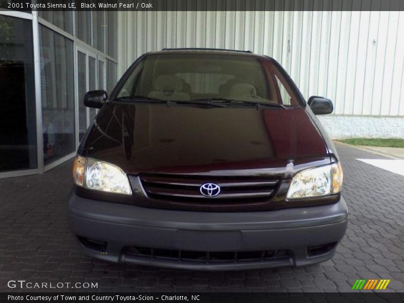 Black Walnut Pearl / Oak 2001 Toyota Sienna LE