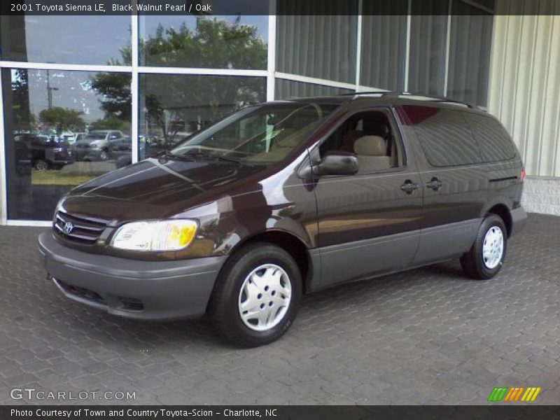Black Walnut Pearl / Oak 2001 Toyota Sienna LE