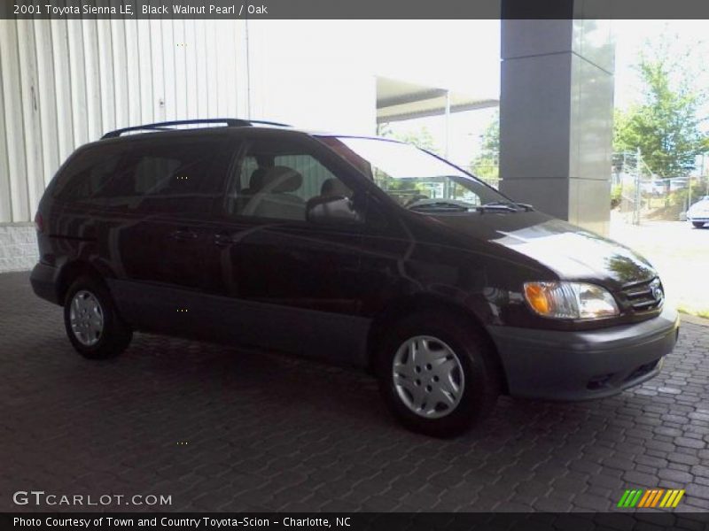Black Walnut Pearl / Oak 2001 Toyota Sienna LE