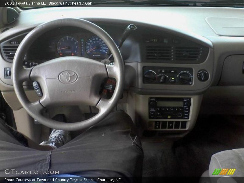 Black Walnut Pearl / Oak 2001 Toyota Sienna LE