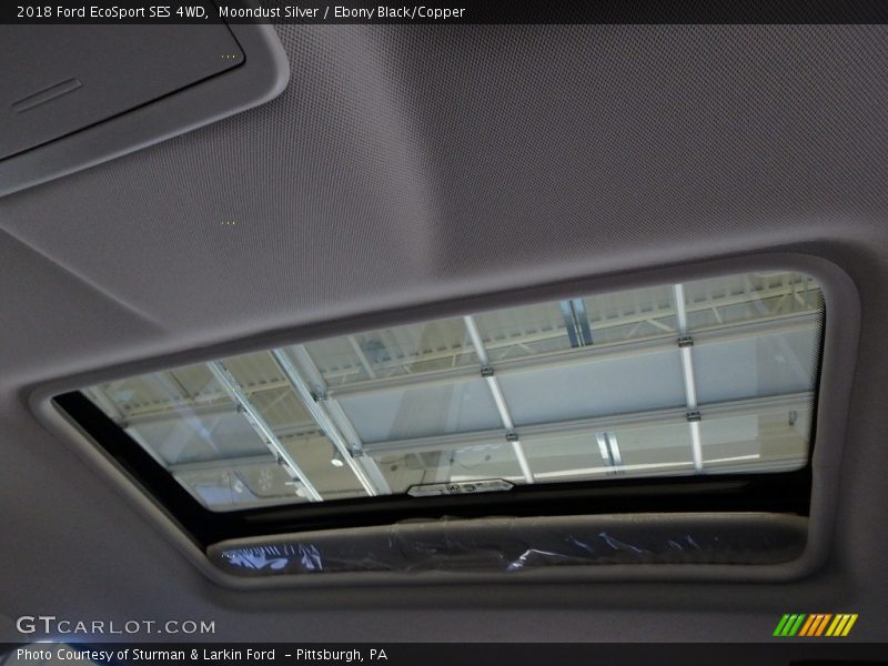Moondust Silver / Ebony Black/Copper 2018 Ford EcoSport SES 4WD