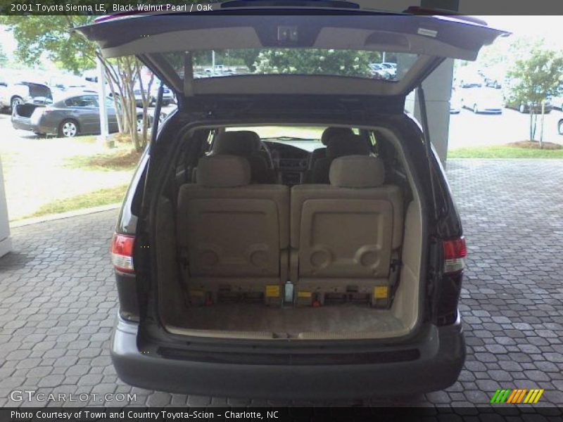 Black Walnut Pearl / Oak 2001 Toyota Sienna LE