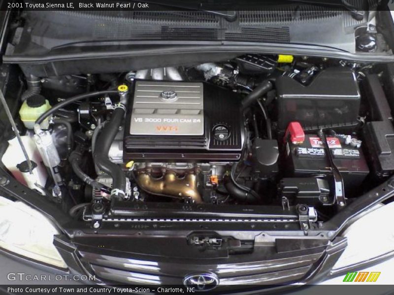 Black Walnut Pearl / Oak 2001 Toyota Sienna LE