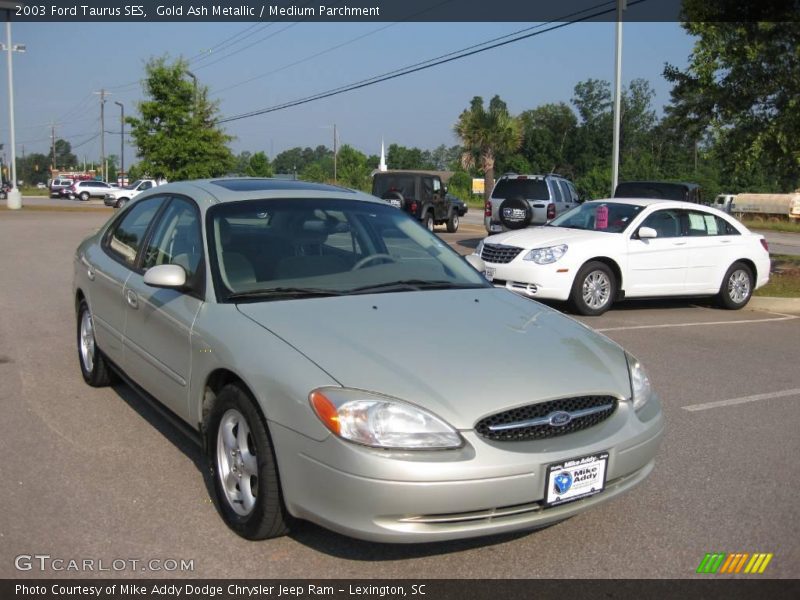 Gold Ash Metallic / Medium Parchment 2003 Ford Taurus SES