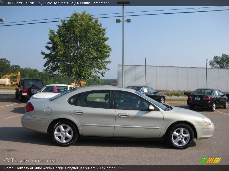 Gold Ash Metallic / Medium Parchment 2003 Ford Taurus SES