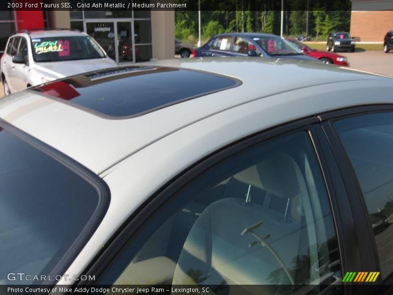 Gold Ash Metallic / Medium Parchment 2003 Ford Taurus SES