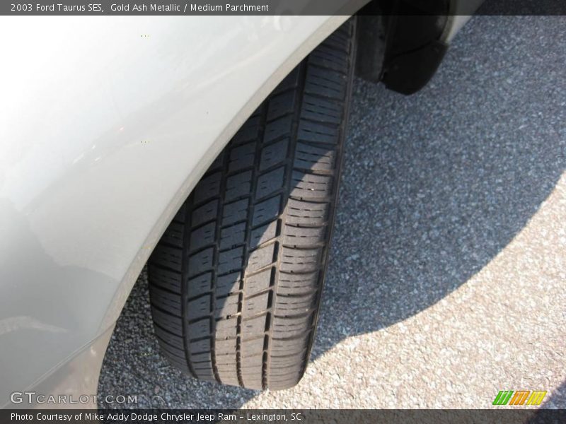 Gold Ash Metallic / Medium Parchment 2003 Ford Taurus SES