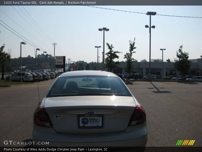 Gold Ash Metallic / Medium Parchment 2003 Ford Taurus SES