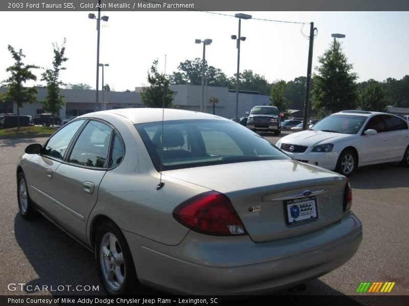Gold Ash Metallic / Medium Parchment 2003 Ford Taurus SES