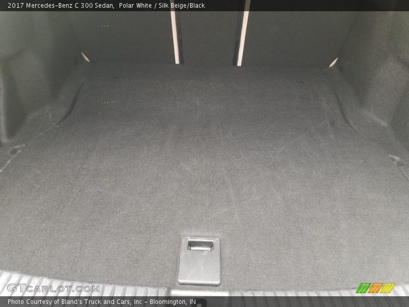 Polar White / Silk Beige/Black 2017 Mercedes-Benz C 300 Sedan