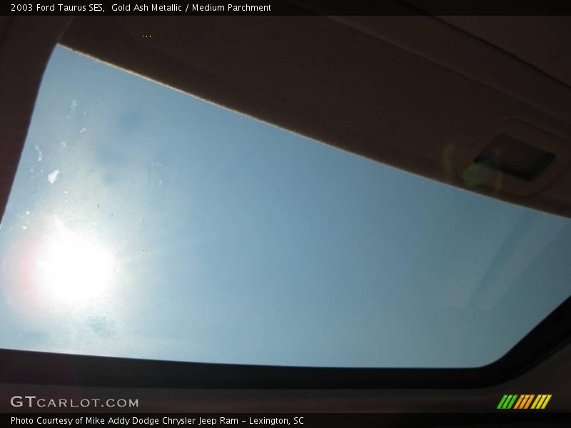 Gold Ash Metallic / Medium Parchment 2003 Ford Taurus SES