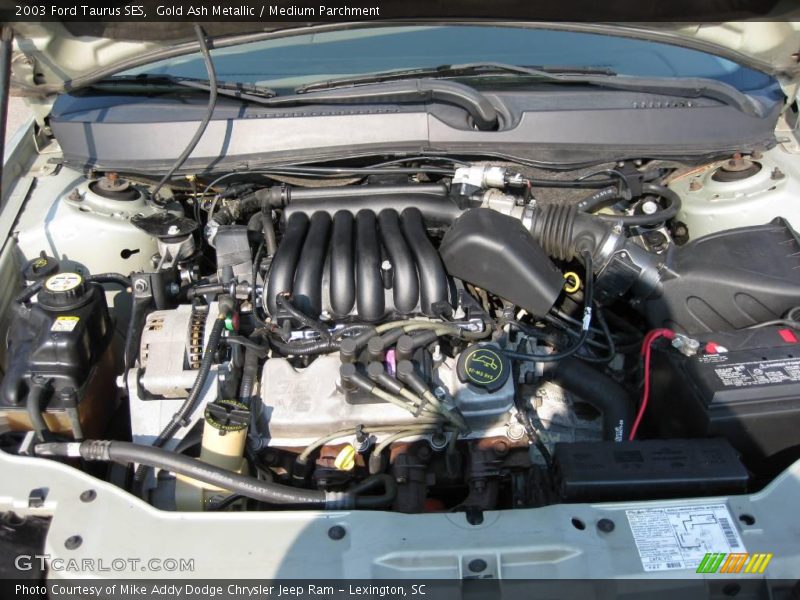 Gold Ash Metallic / Medium Parchment 2003 Ford Taurus SES