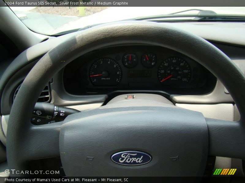 Silver Frost Metallic / Medium Graphite 2004 Ford Taurus SES Sedan
