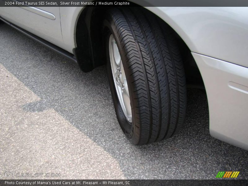 Silver Frost Metallic / Medium Graphite 2004 Ford Taurus SES Sedan