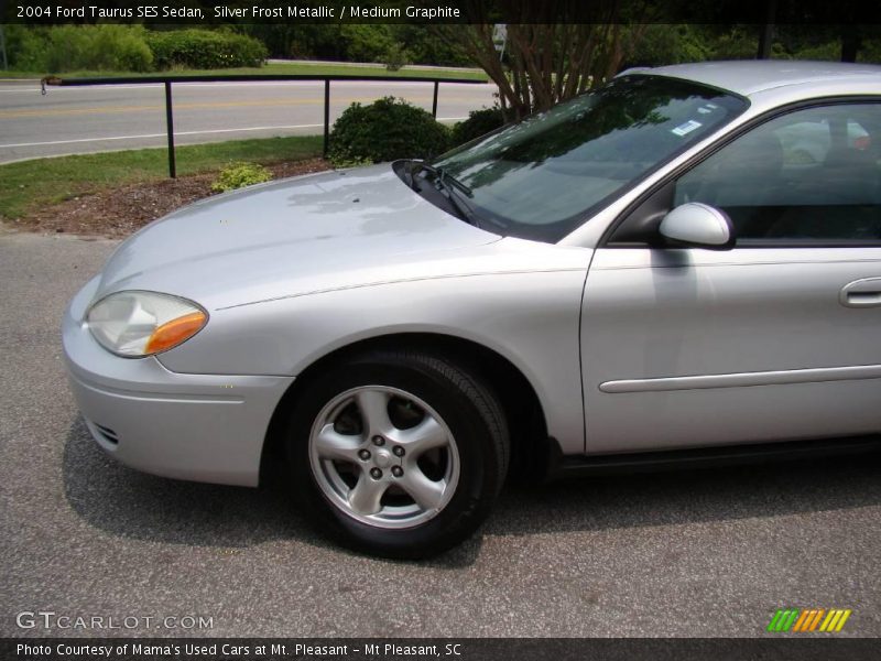 Silver Frost Metallic / Medium Graphite 2004 Ford Taurus SES Sedan