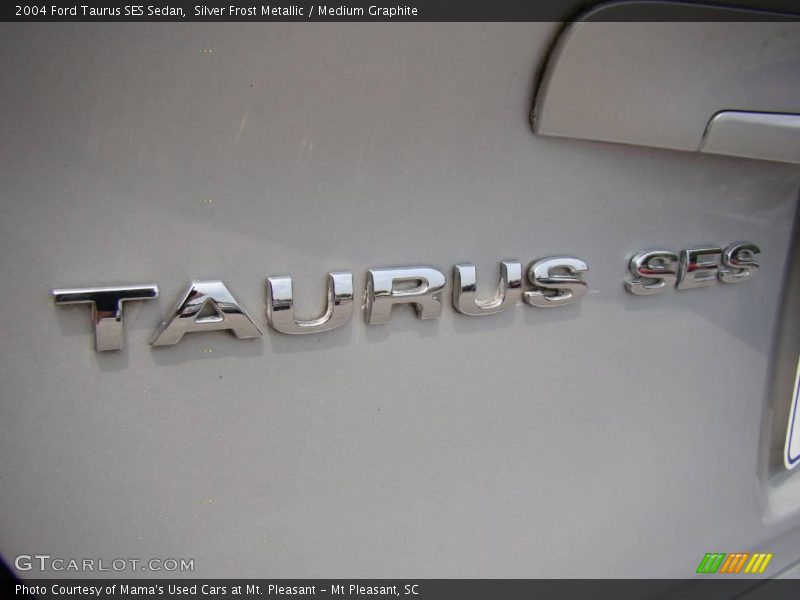 Silver Frost Metallic / Medium Graphite 2004 Ford Taurus SES Sedan