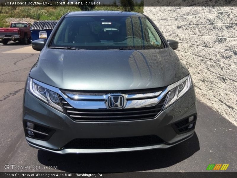 Forest Mist Metallic / Beige 2019 Honda Odyssey EX-L