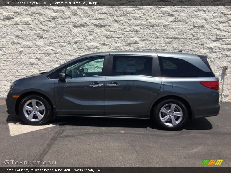 Forest Mist Metallic / Beige 2019 Honda Odyssey EX-L