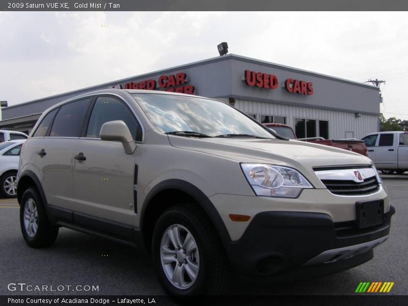 Gold Mist / Tan 2009 Saturn VUE XE