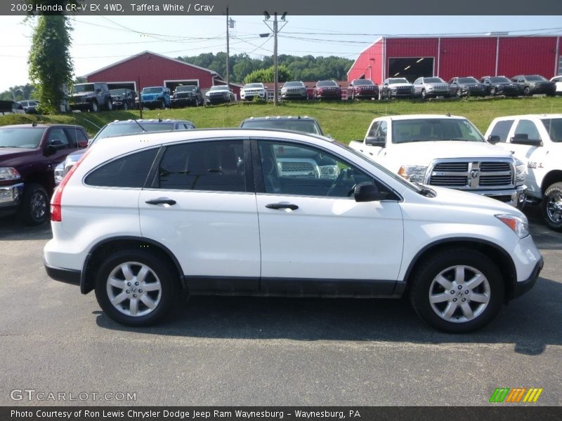Taffeta White / Gray 2009 Honda CR-V EX 4WD