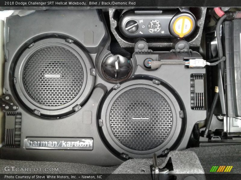 Audio System of 2018 Challenger SRT Hellcat Widebody