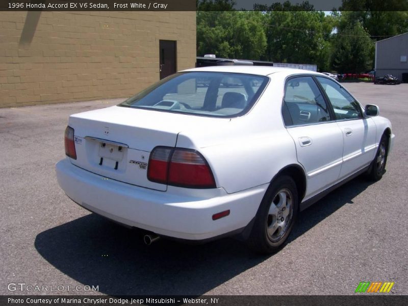 Frost White / Gray 1996 Honda Accord EX V6 Sedan