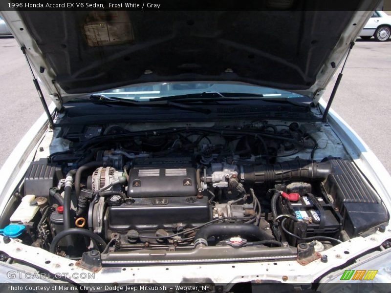 Frost White / Gray 1996 Honda Accord EX V6 Sedan