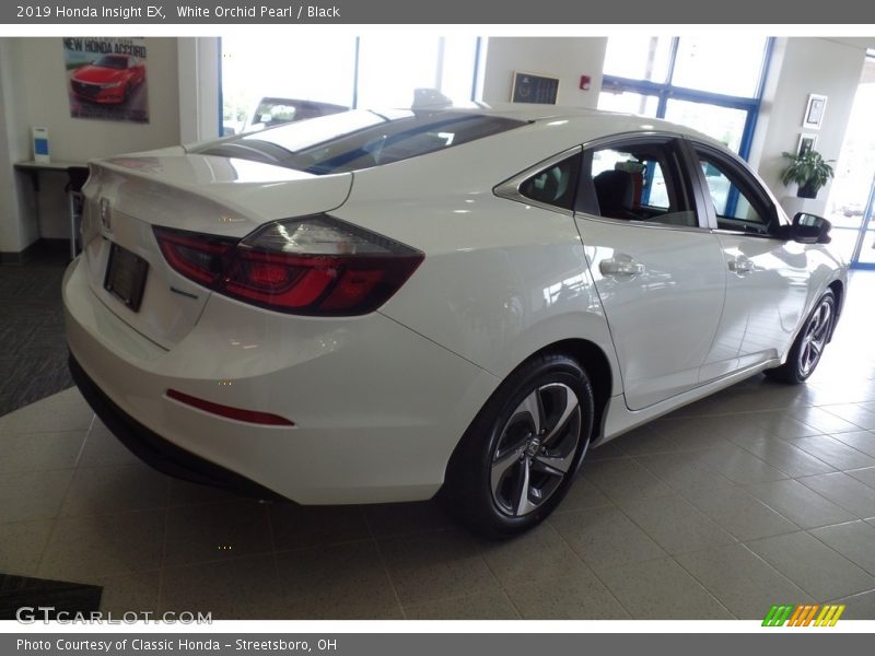 White Orchid Pearl / Black 2019 Honda Insight EX