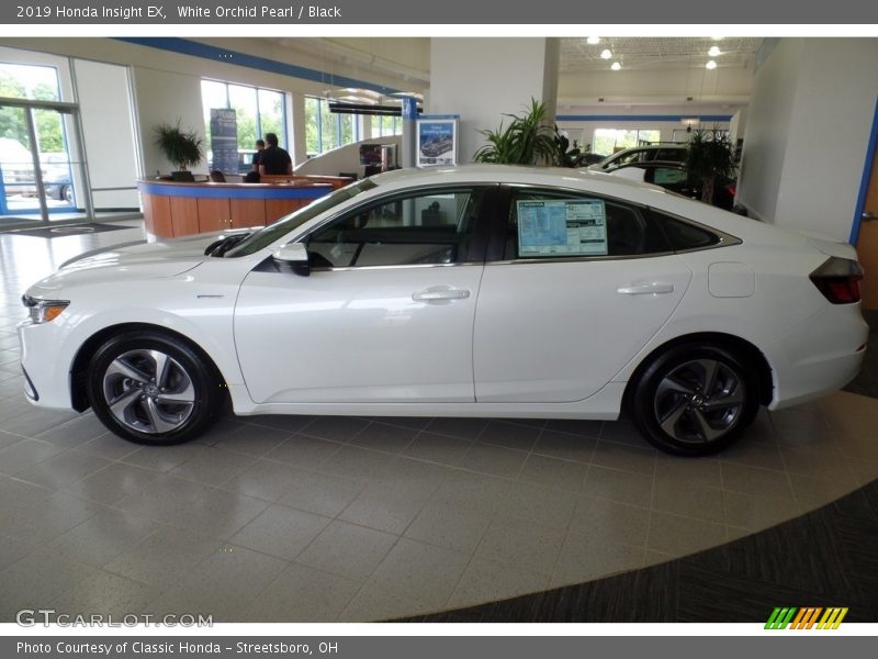 White Orchid Pearl / Black 2019 Honda Insight EX