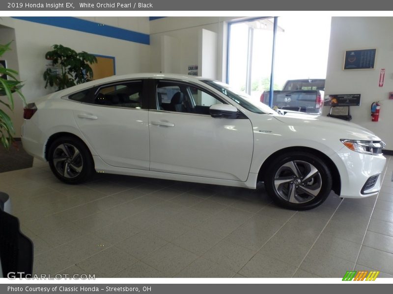 White Orchid Pearl / Black 2019 Honda Insight EX