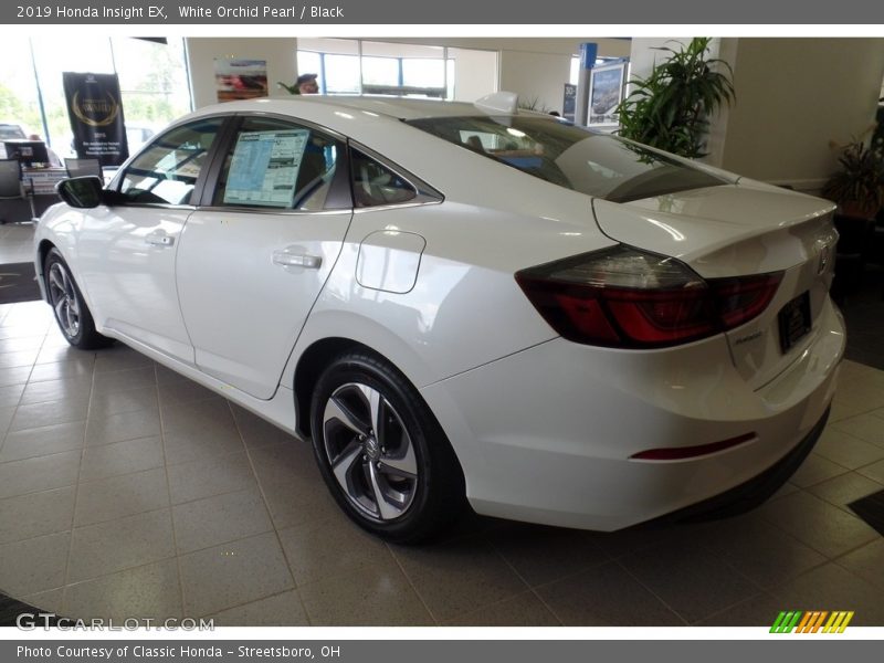 White Orchid Pearl / Black 2019 Honda Insight EX