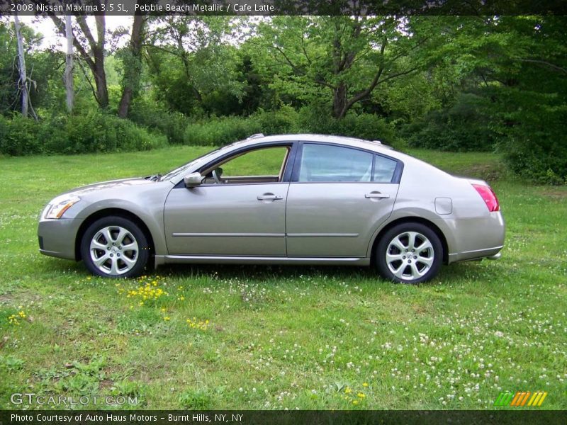 Pebble Beach Metallic / Cafe Latte 2008 Nissan Maxima 3.5 SL