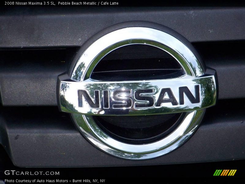 Pebble Beach Metallic / Cafe Latte 2008 Nissan Maxima 3.5 SL