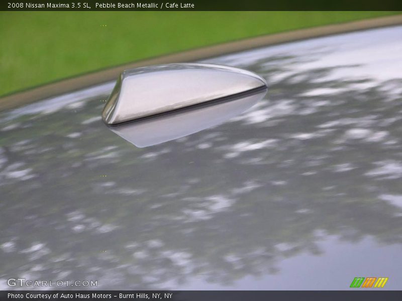 Pebble Beach Metallic / Cafe Latte 2008 Nissan Maxima 3.5 SL