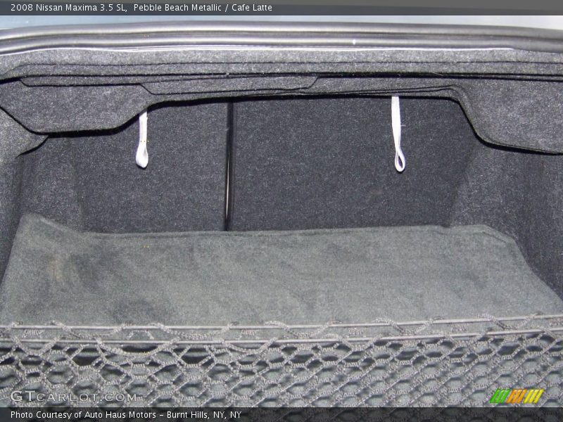 Pebble Beach Metallic / Cafe Latte 2008 Nissan Maxima 3.5 SL