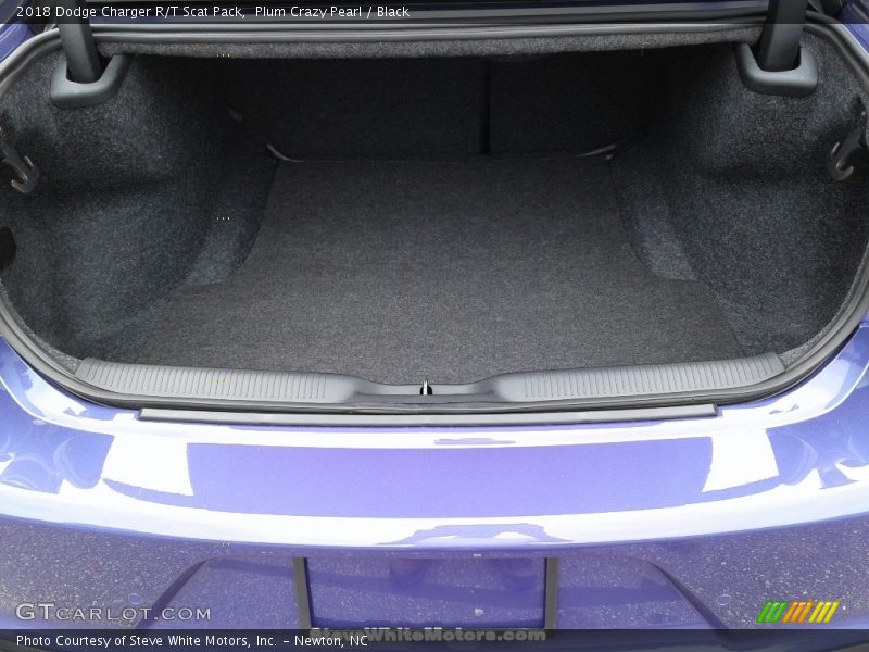 Plum Crazy Pearl / Black 2018 Dodge Charger R/T Scat Pack