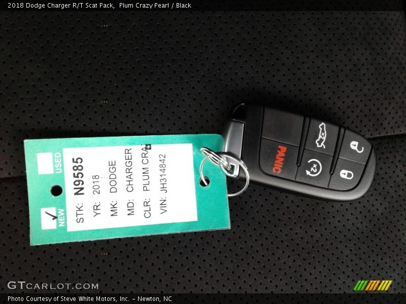 Plum Crazy Pearl / Black 2018 Dodge Charger R/T Scat Pack