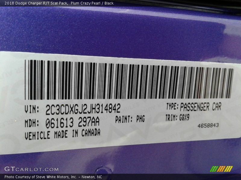 Plum Crazy Pearl / Black 2018 Dodge Charger R/T Scat Pack