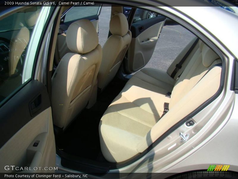 Camel Pearl / Camel 2009 Hyundai Sonata GLS V6