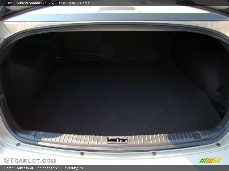 Camel Pearl / Camel 2009 Hyundai Sonata GLS V6