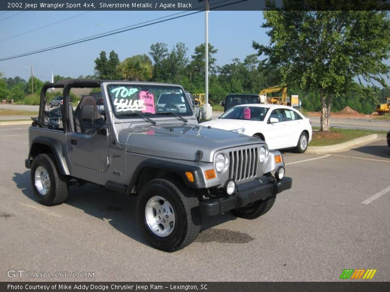 Silverstone Metallic / Agate Black 2002 Jeep Wrangler Sport 4x4